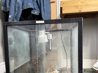 Mixed Breed reptiles Viv for sale - Advert 16