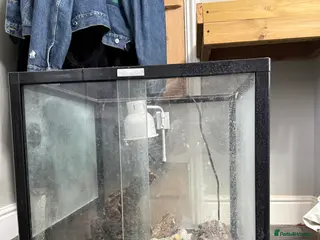 Mixed Breed reptiles Viv for sale - Advert 1