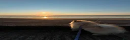 Pomeranian dogs for sale: Mr twix - Advert 3