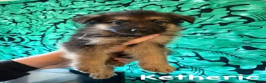 Ketheric 
