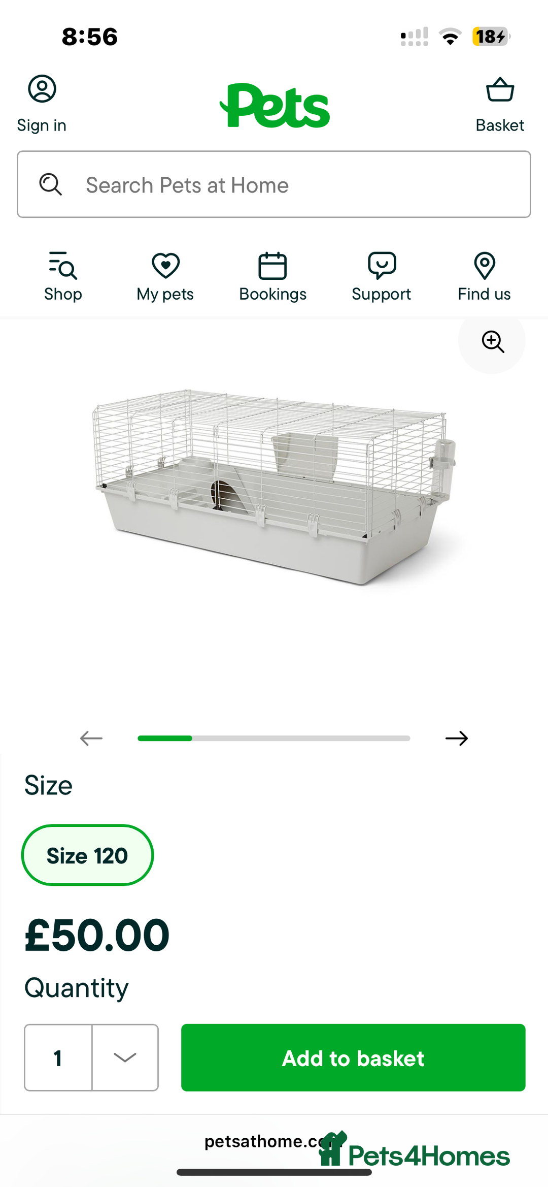 Guinea Pig rodents for sale: 2 male guinea pigs🙂 - Image 6