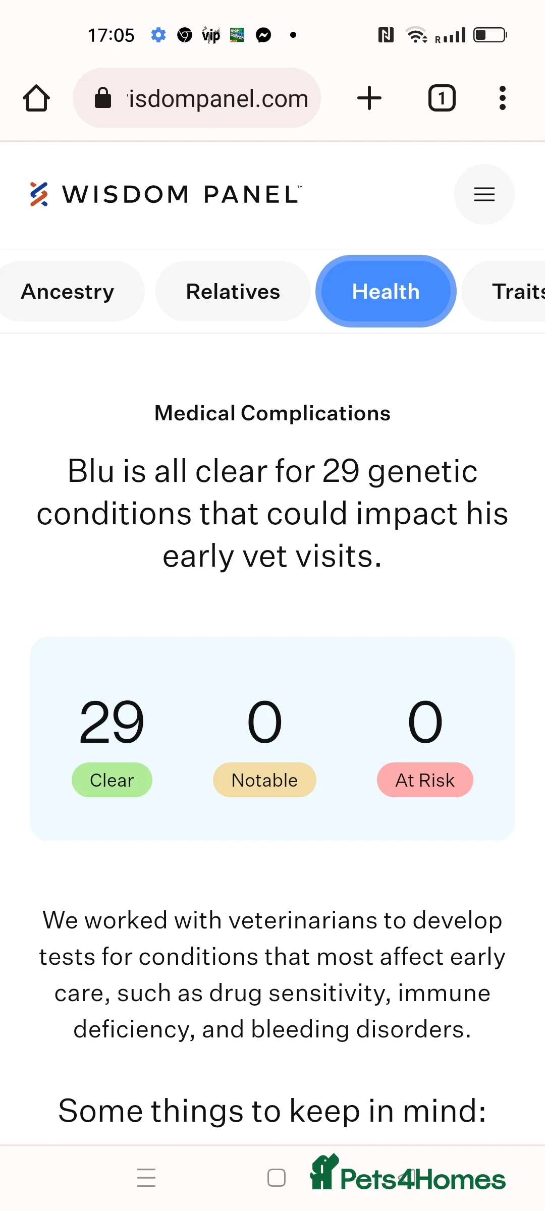 Border Collie dogs for stud: Pure breed Blue merle border collie for stud only in Loughborough - Advert 10