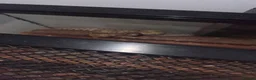 Corn Snake reptiles for sale: Corn snake and mourning gecko with full setups - Advert 13
