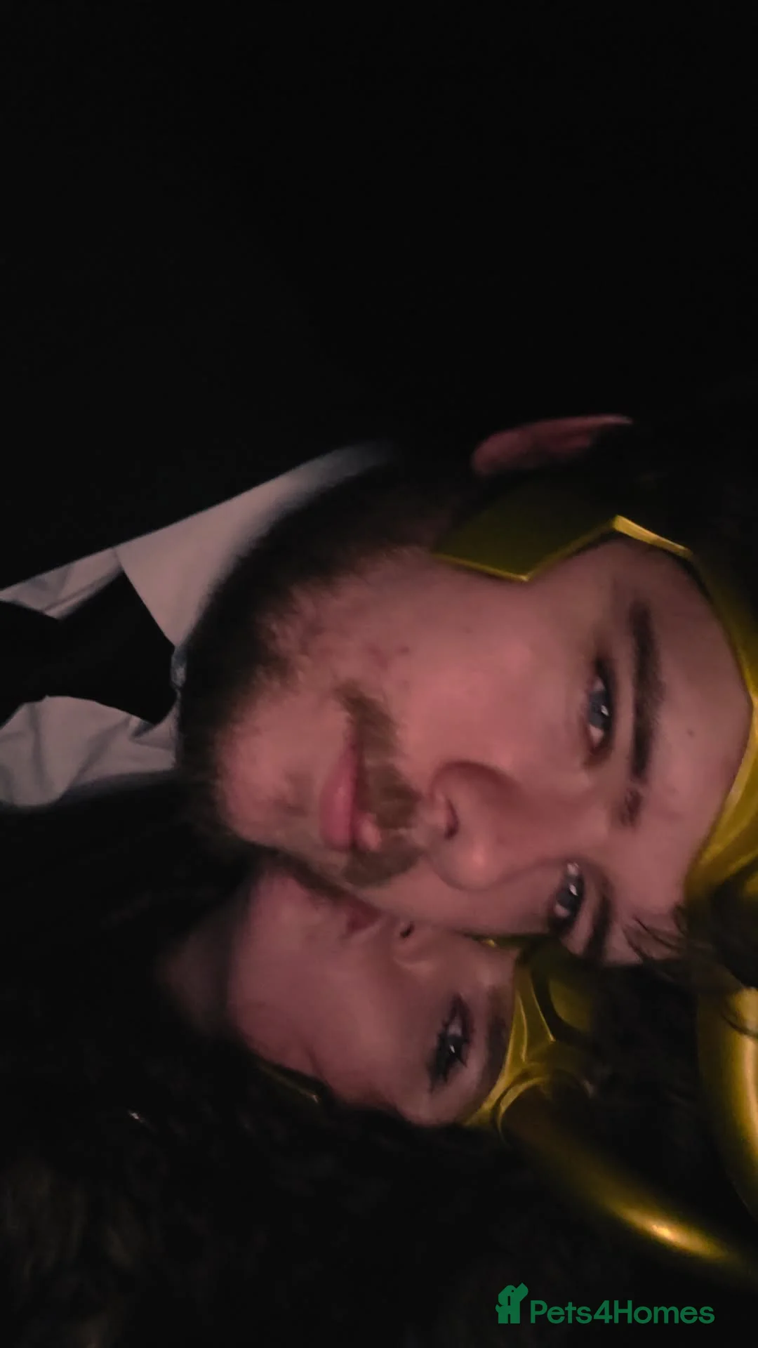 Gallery Image {{count}}