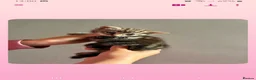 Mixed Breed cats for sale: Grey tabby tortie kittens - Advert 5