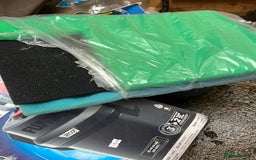 Axolotl reptiles for sale: 2 Adult male Axolotls and Full set up  - Image 13