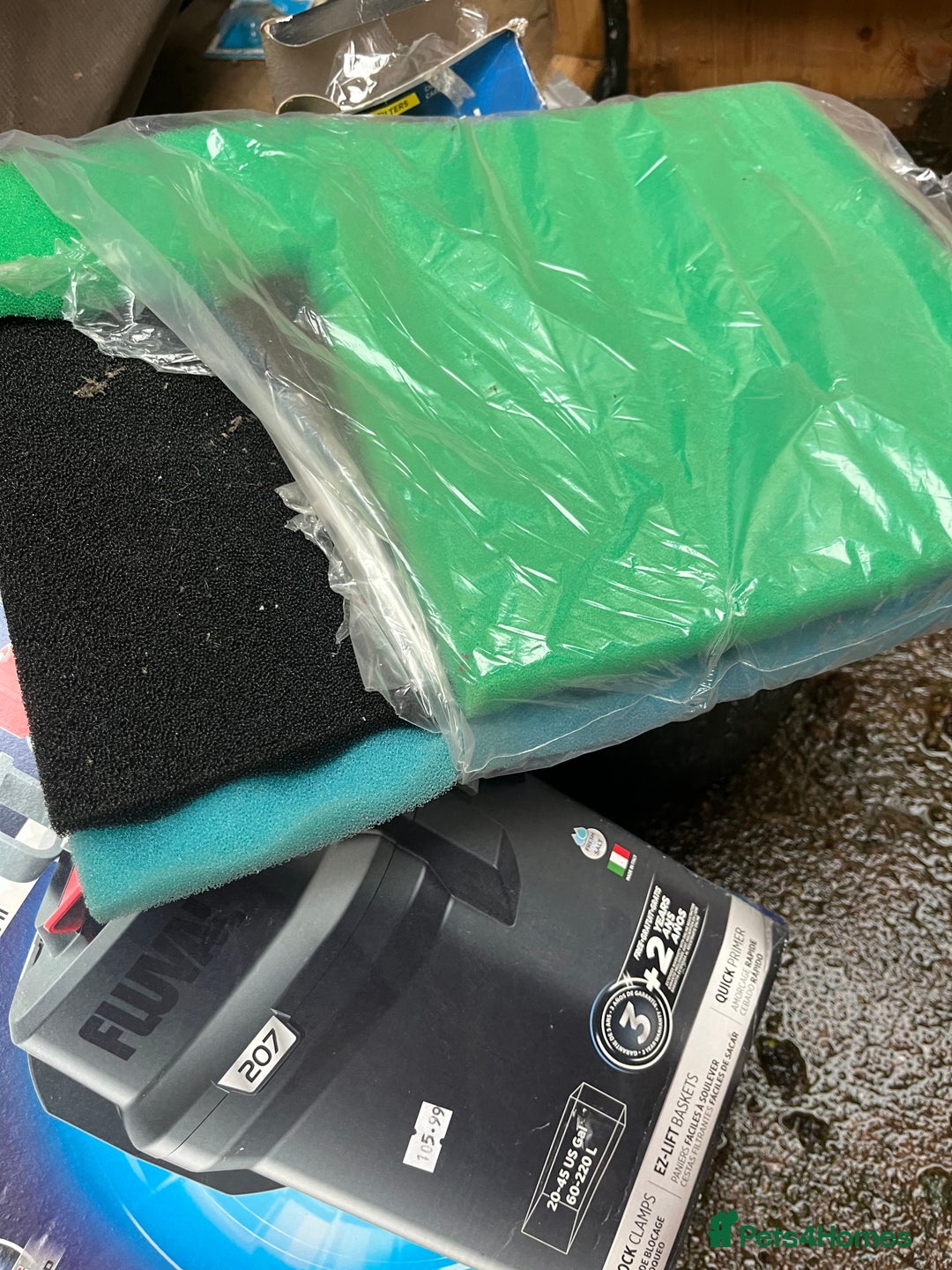 Axolotl reptiles for sale: 2 Adult male Axolotls and Full set up  - Image 13