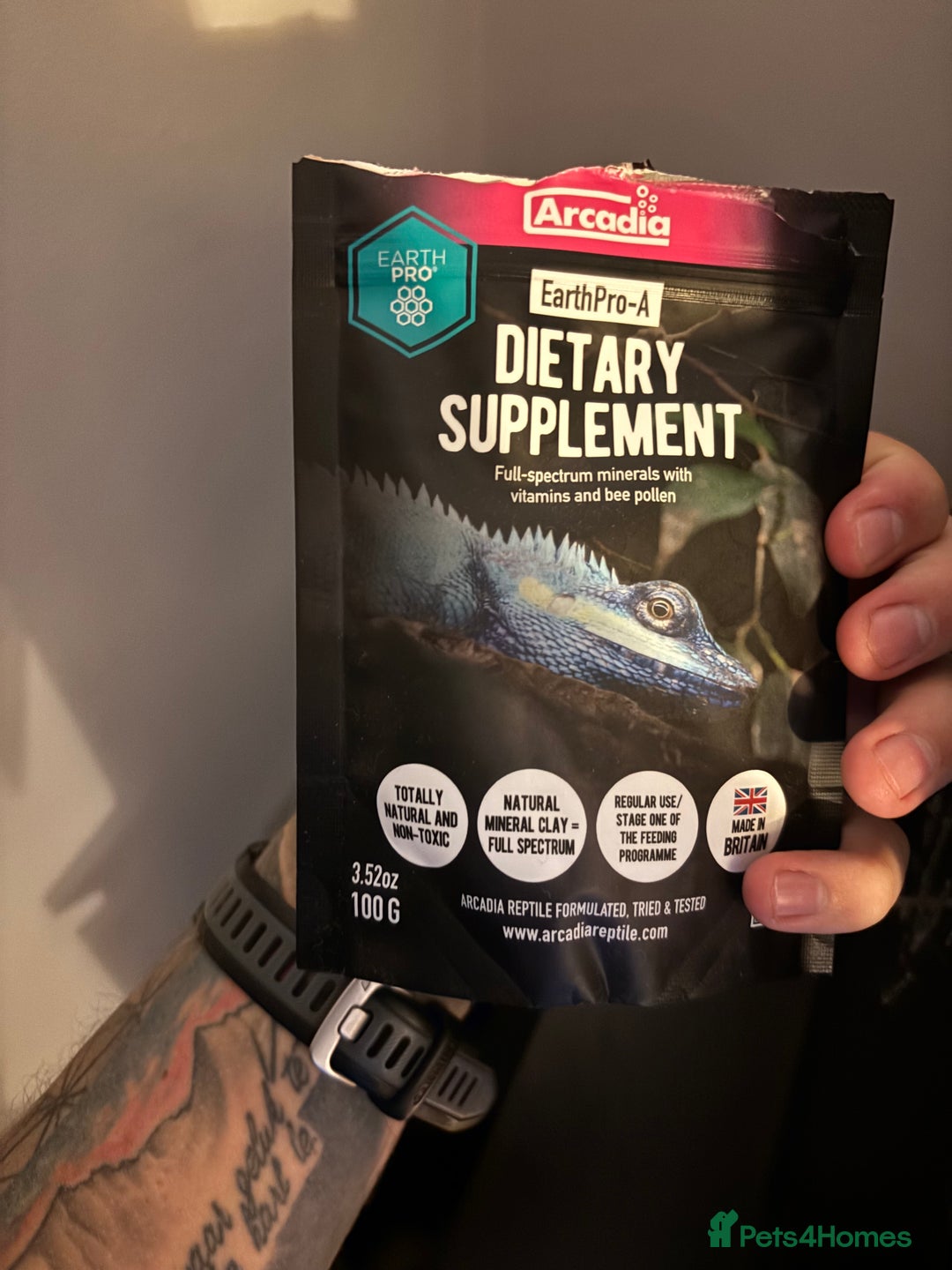 Gecko reptiles for sale: Male Mossy Gecko (Chahoua) - Advert 11