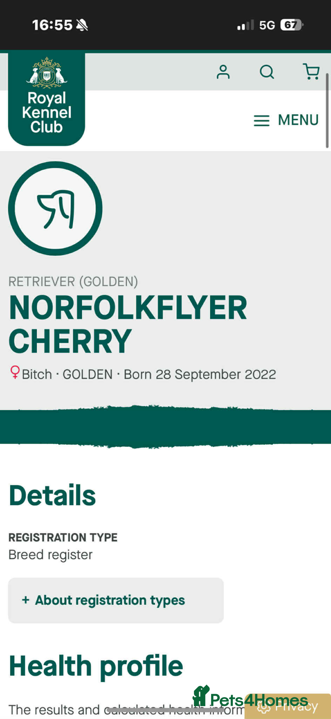 Goldendoodle dogs for sale: Health tested F1 Goldendoodle puppies  - Advert 8