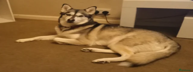 EYOTAH