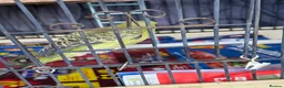 Budgerigars birds for sale: Budgies for sale  in Manchester - Advert 7