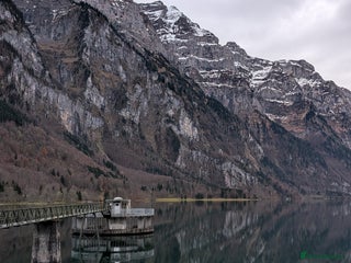 Afghan Hound dogs Kuhvbnn - Advert 12