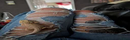 Bearded Dragon reptiles for sale: Reduced for good homes  - Advert 10
