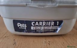 Hamster rodents for sale: Friendly syrian hamster to sell ASAP - Image 5
