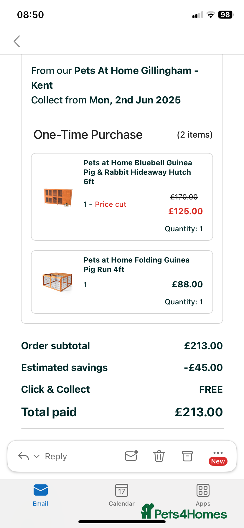 English rabbits Bunnies with full set up - Advert 17