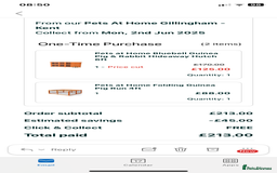 English rabbits for sale: Bunnies with full set up - Image 1