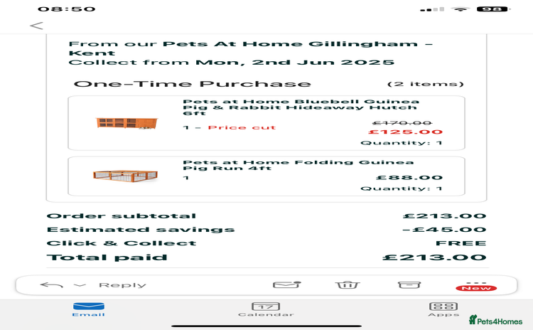 English rabbits - Advert 2