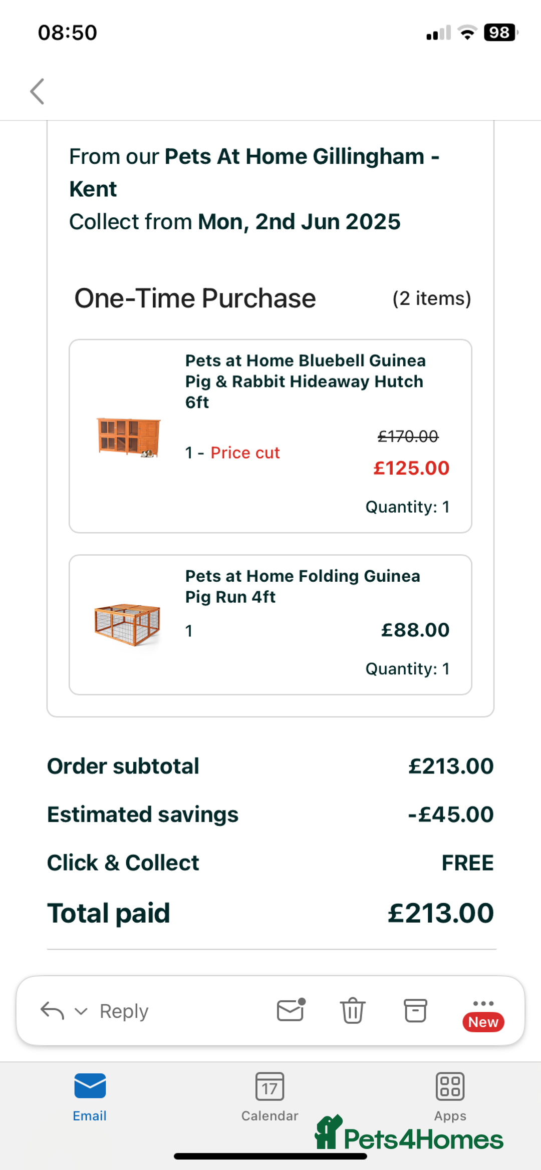 English rabbits for sale: Bunnies with full set up - Image 1