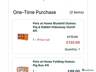 English rabbits for sale - Advert 1