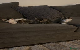 Mixed Breed cats for sale: Beautiful patched tabbies looking for homes  - Image 3