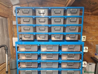 Python Snake reptiles Ball python collection - Advert 1