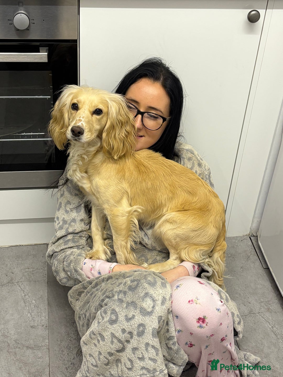 Cocker Spaniel dogs for sale: Ruby  - Image 2