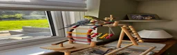 Budgerigars birds for sale: Two young budgies with cage and accessories in Llanidloes - Advert 2