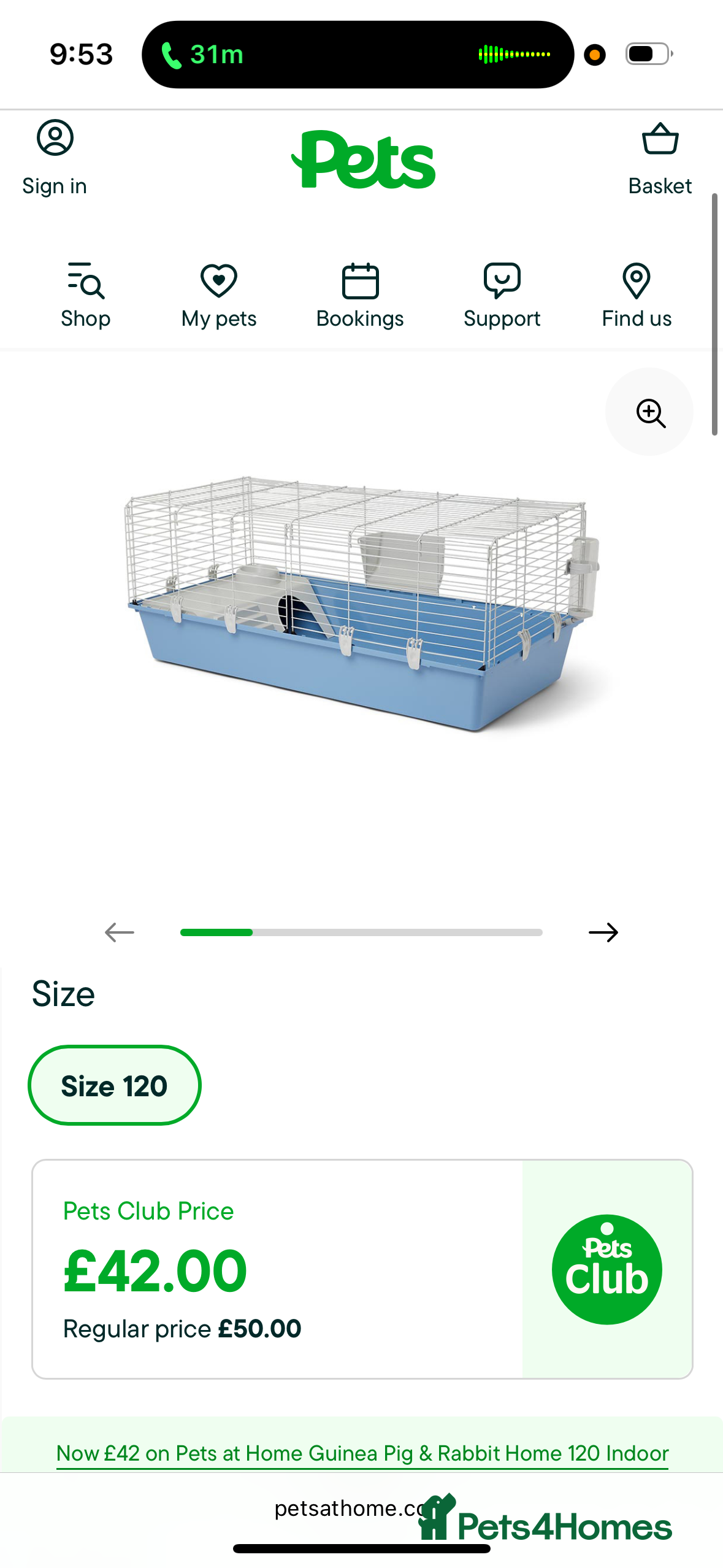 Guinea Pig rodents X2 guinea pigs  - Advert 15