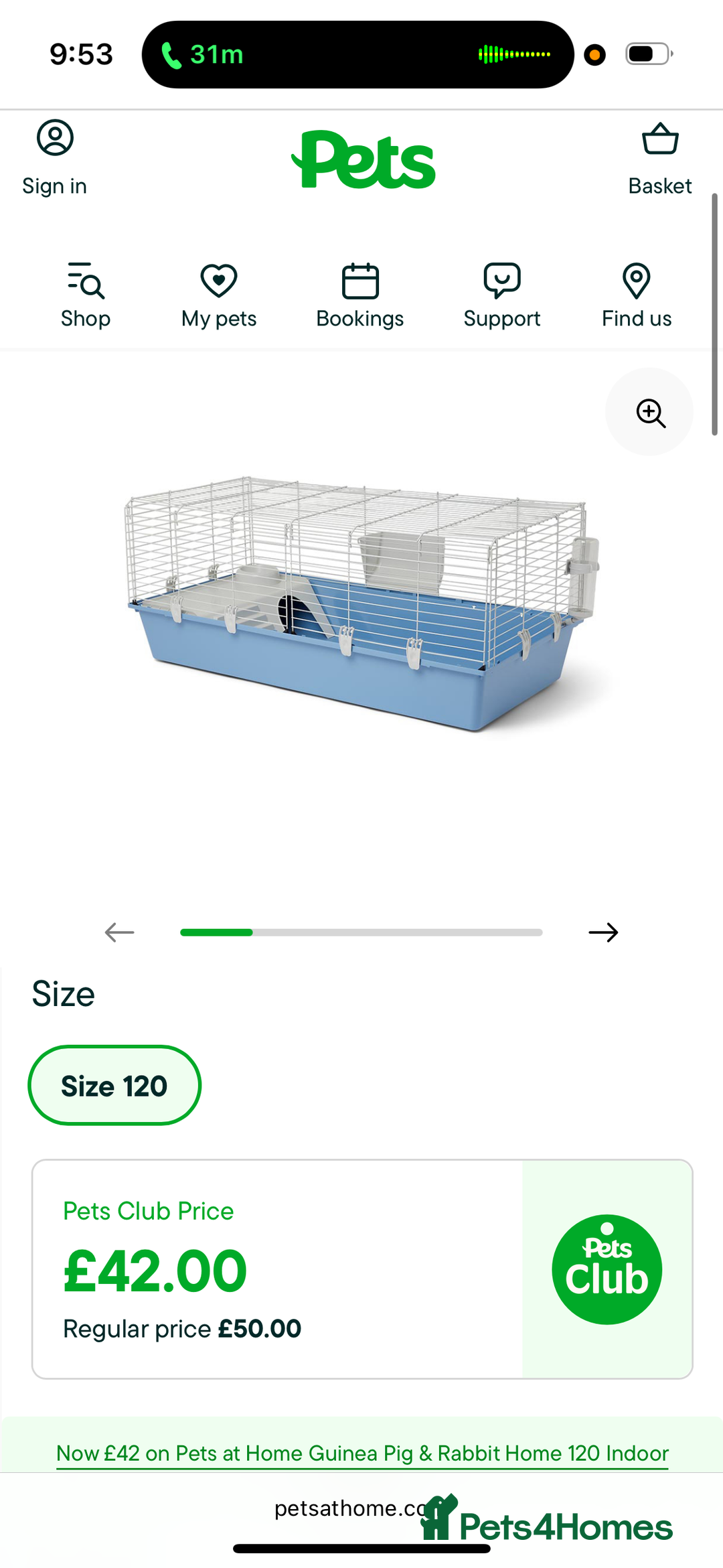 Guinea Pig rodents for sale: X2 guinea pigs  - Advert 1