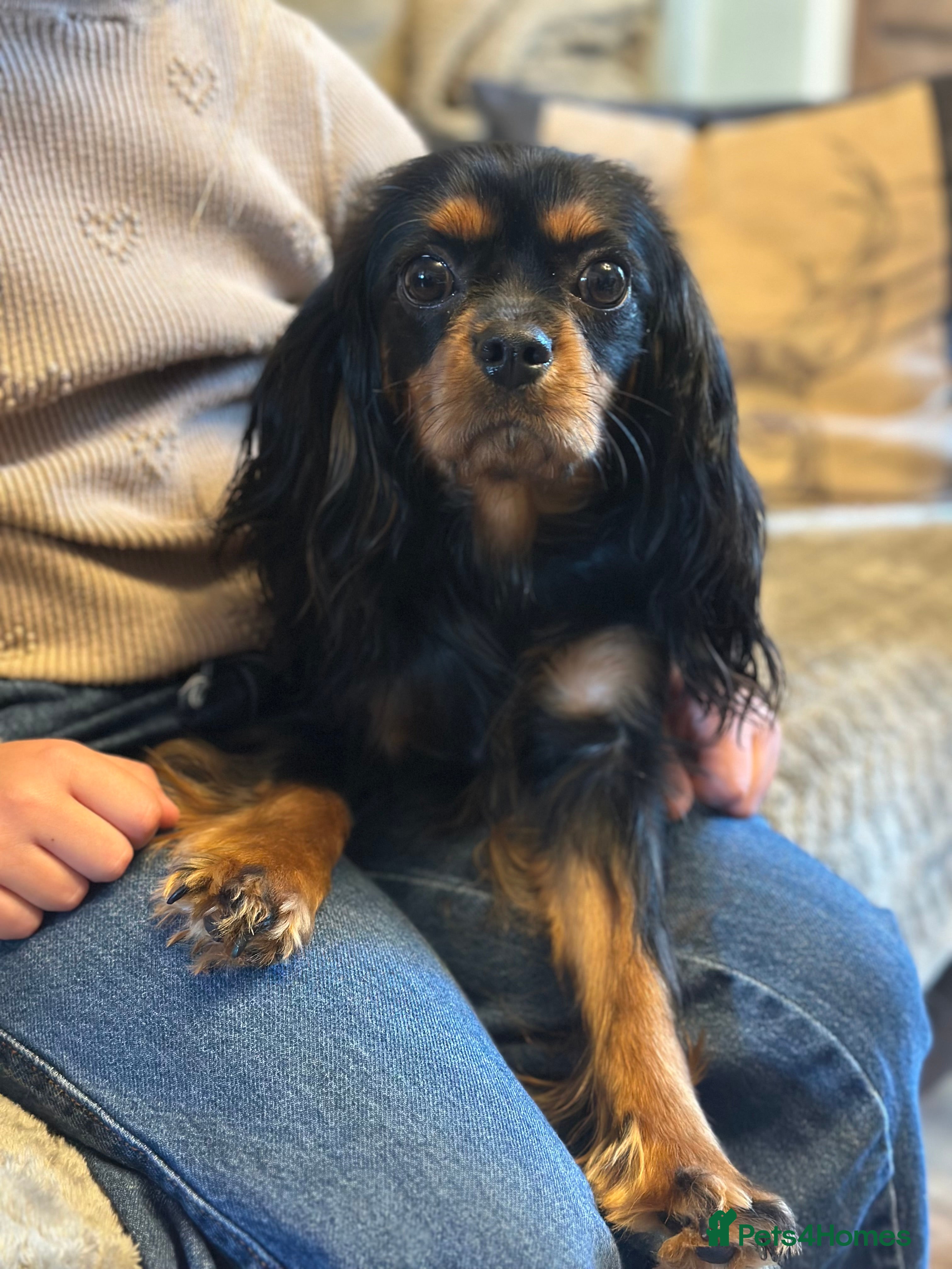 Bella