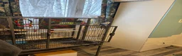 Budgerigars birds for sale: Birds for sale with cage and accessories  - Advert 11