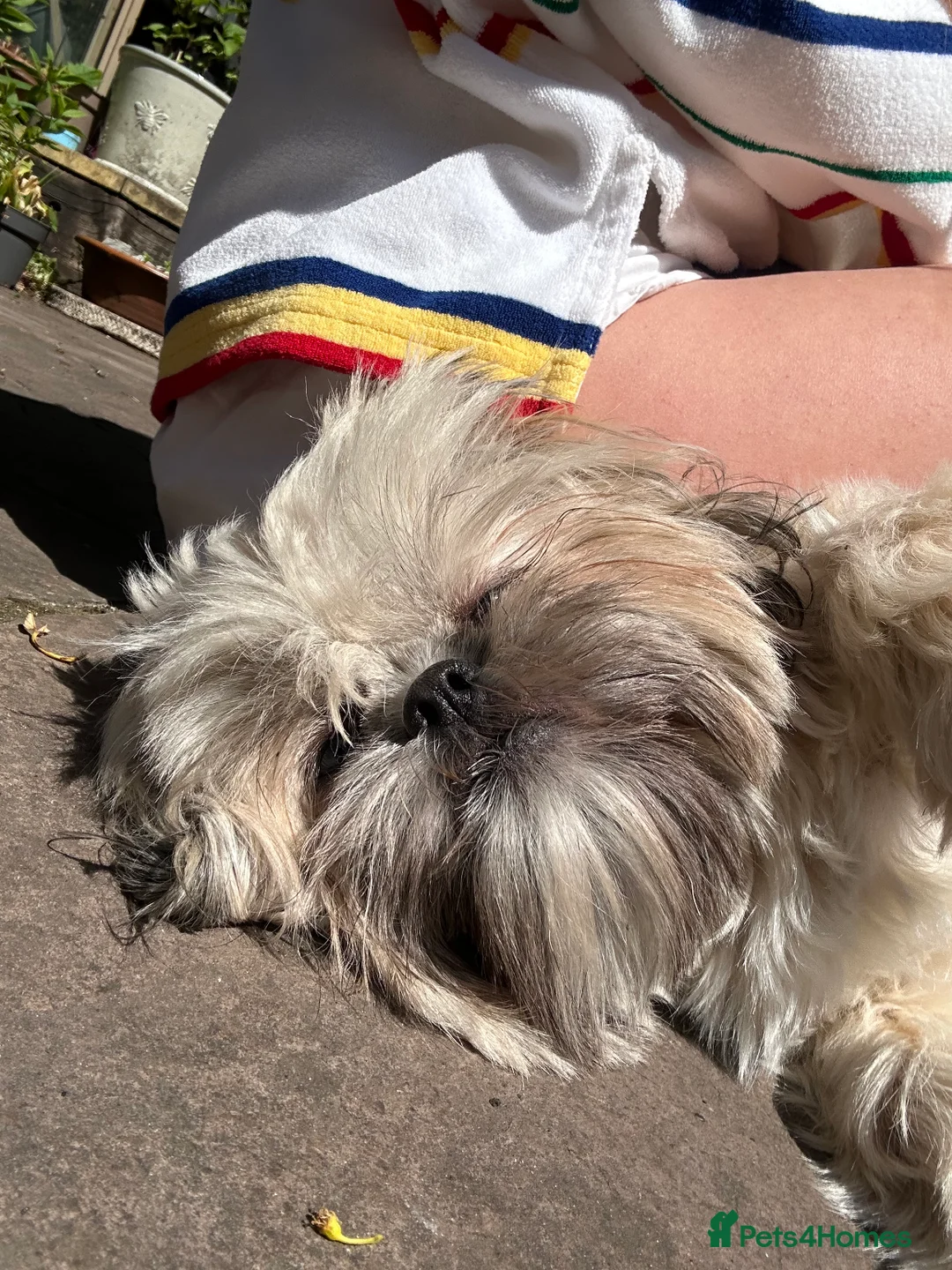 Gallery Image {{count}}