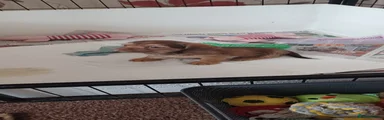 Mixed Breed 5