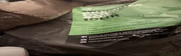 Millipedes invertebrates for sale: 1 bumblebee millipede - Advert 4