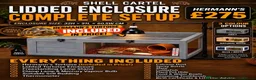 Tortoise reptiles for sale: BABY HERMANNS AND SET UPS - Advert 2