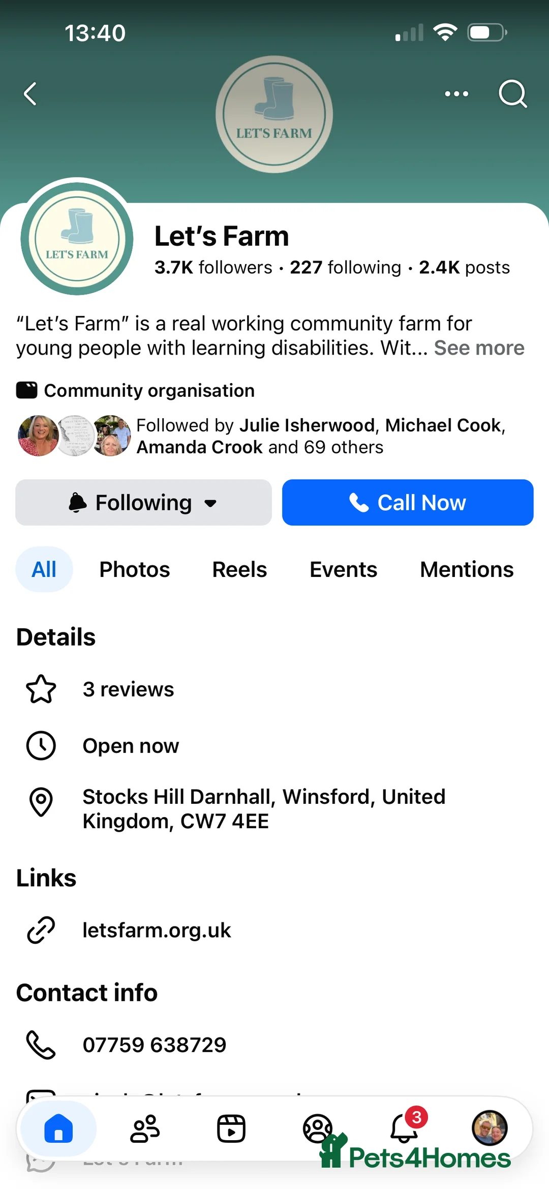 Guinea Pig rodents for sale: Baby guinea pigs for sale  - Advert 13