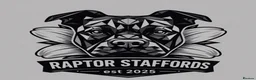 Staffordshire Bull Terrier dogs for sale: Lovely staff pups  - Advert 6