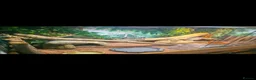 Bearded Dragon reptiles for sale: Bearded Dragon and enclosure for Sale - Advert 1