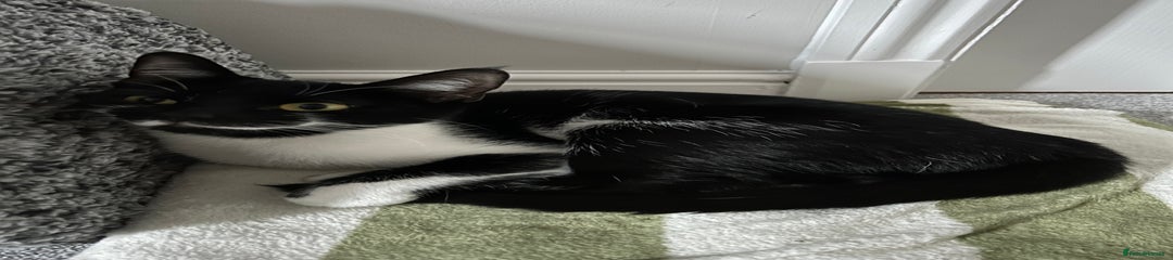 Doja
