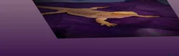 Bearded Dragon reptiles for sale: Bearded Dragon + Full Vivarium Setup  in Stirling - Advert 4