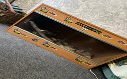 Corn Snake reptiles for sale: Corn snake  - Image 3
