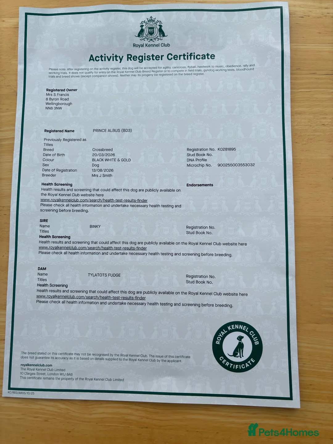 Biewer Terrier dogs for sale: Albus biewer boy kc registered reserved  - Advert 2
