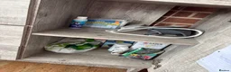 Loaches fish for sale: Whole fish tank setup for sale  - Advert 5