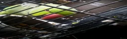 Ringnecks birds for sale: Indian ring neck parrot  in Saint Helens - Advert 5
