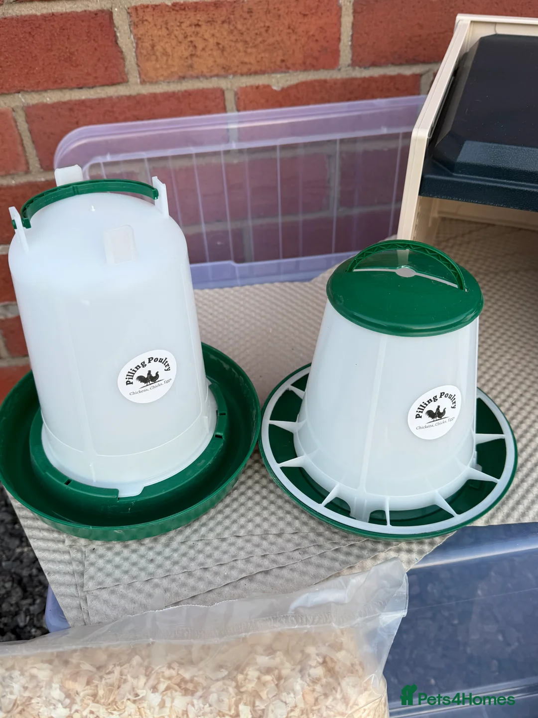 Mixed Breed poultry for sale: Chick Rearing Kit - Advert 4