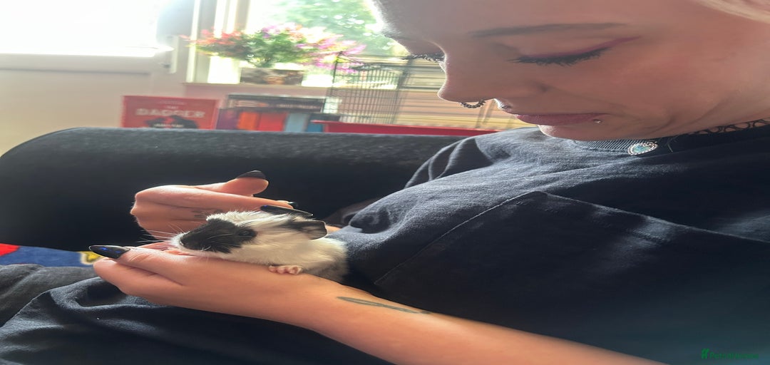 Gallery Image {{count}}