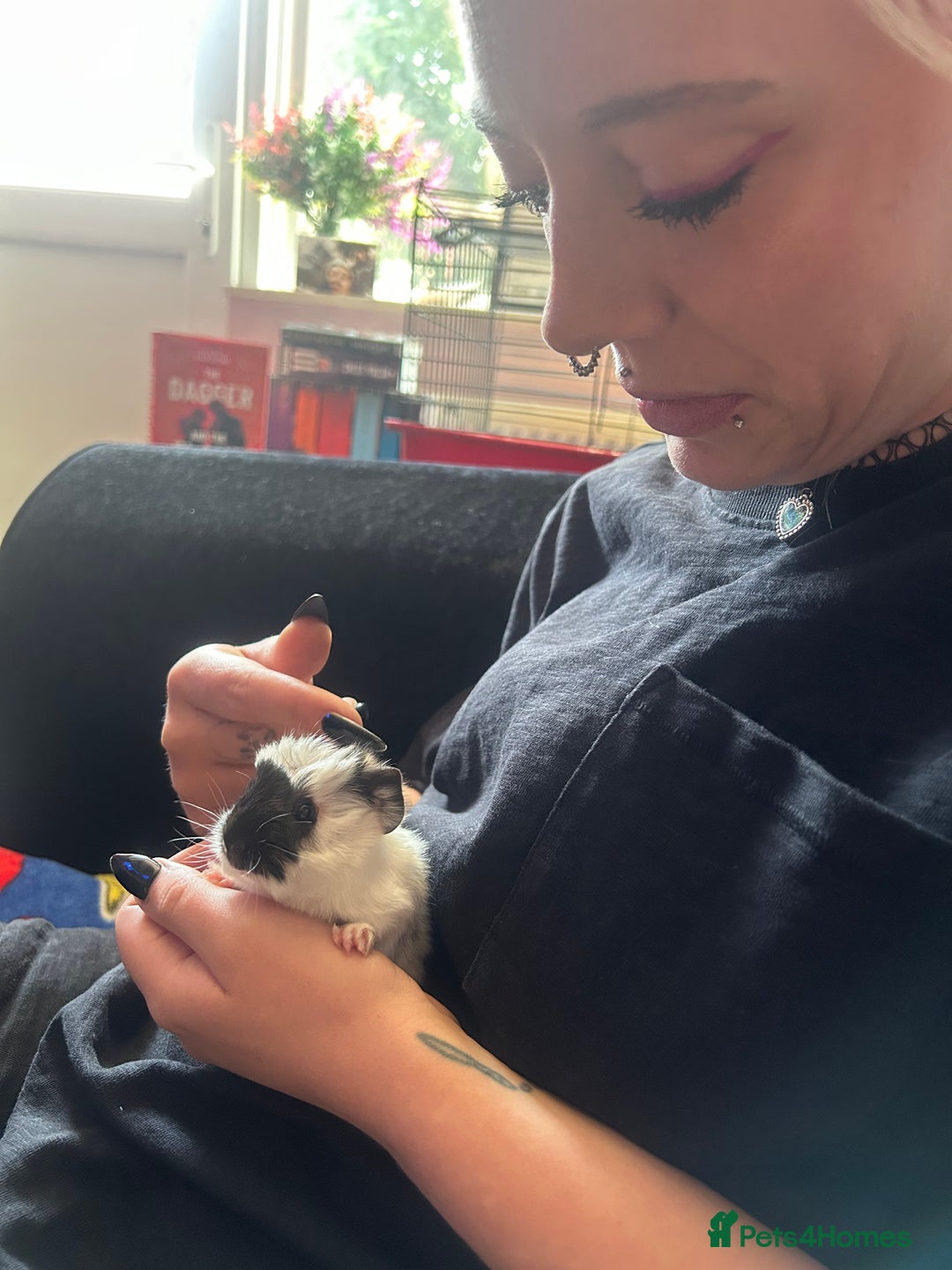 Gallery Image {{count}}