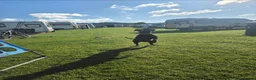 Mixed Breed dogs for sale: Black lad x patterdale 2years old in Consett - Advert 2