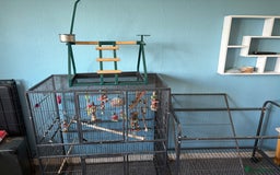Parrots birds for sale: Parrot cage and separate stand - Image 2