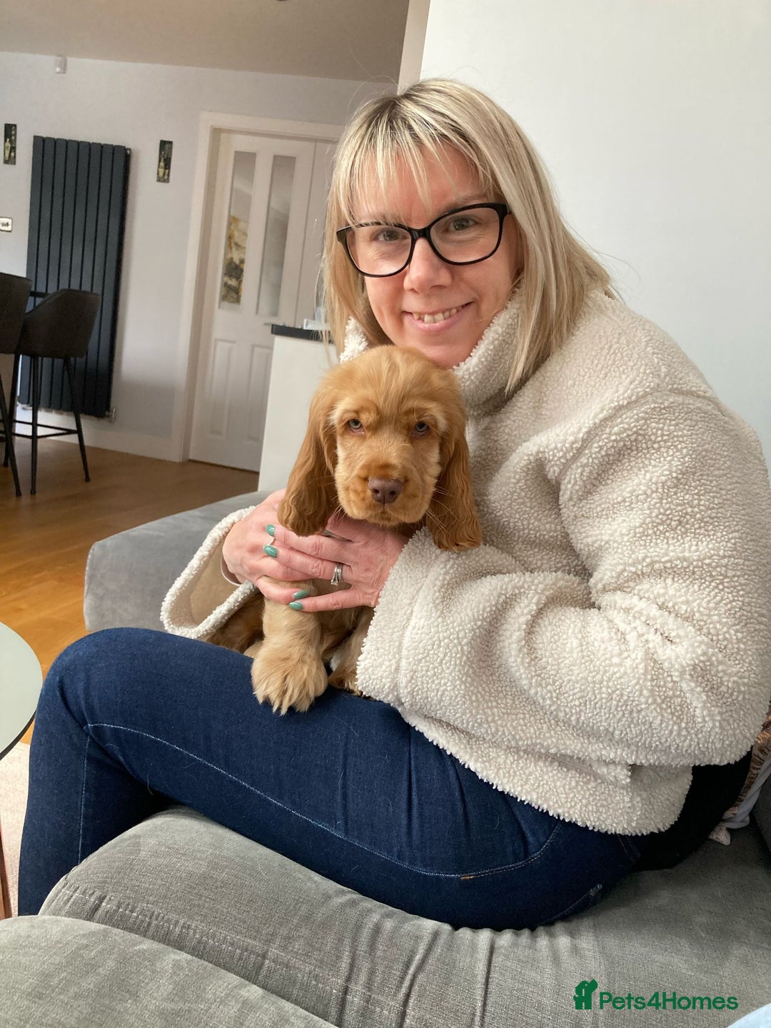 Cocker Spaniel dogs for sale: GOLDEN SHOW COCKER PUPPIES  - Image 13